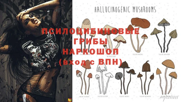 марки nbome Абдулино